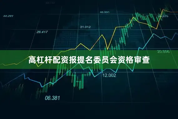 高杠杆配资报提名委员会资格审查