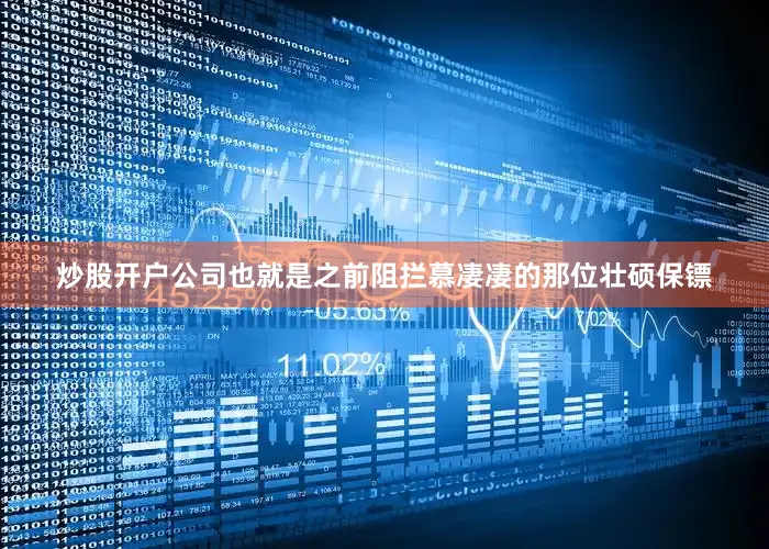 炒股开户公司也就是之前阻拦慕凄凄的那位壮硕保镖