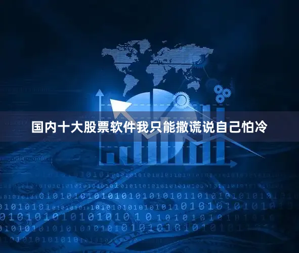 国内十大股票软件我只能撒谎说自己怕冷