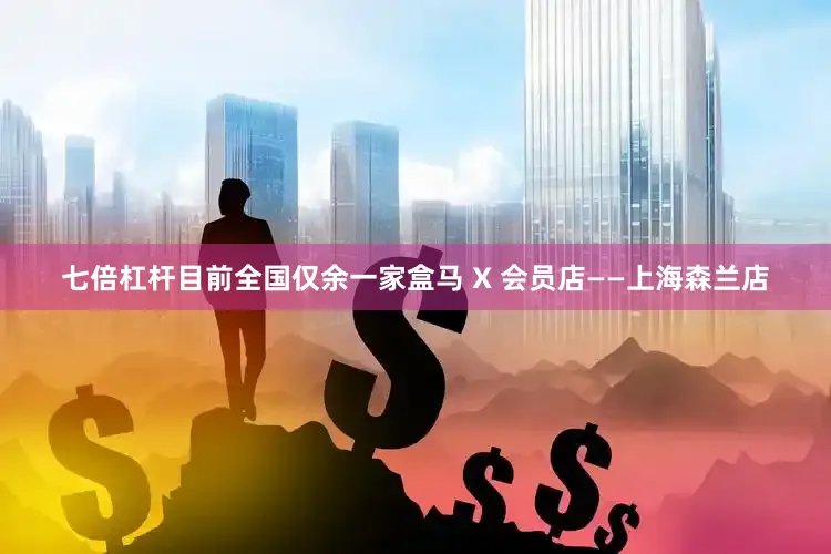 七倍杠杆目前全国仅余一家盒马 X 会员店——上海森兰店