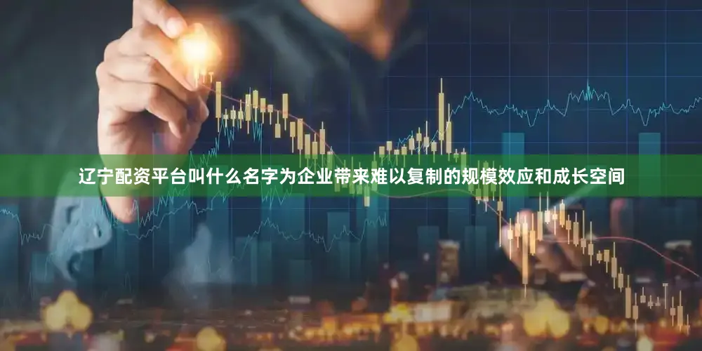 辽宁配资平台叫什么名字为企业带来难以复制的规模效应和成长空间